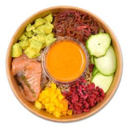 In deiner chillmahl  Foodstation: Frische Lachs-Bowl mit Zutaten in Bio-Qualität